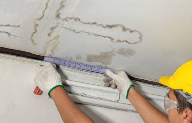 Reliable Mold Remediation contractor in La Follette, TN by Water Damage Irwin